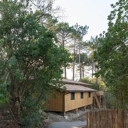 Villa Cap Aupa Cap - Cap Ferret Le Canon - Neuve En Bois 10 Pers *