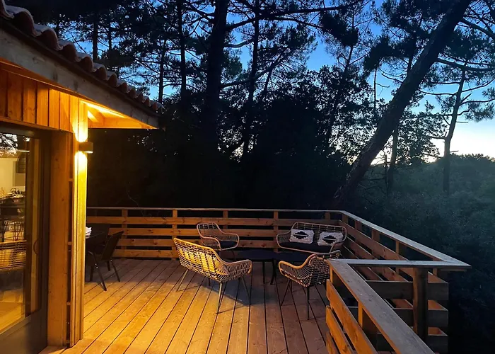 Cap Aupa Cap - Cap Ferret Le Canon - Neuve En Bois 10 Pers Villa *